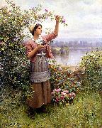 Gathering Roses Daniel Ridgeway Knight